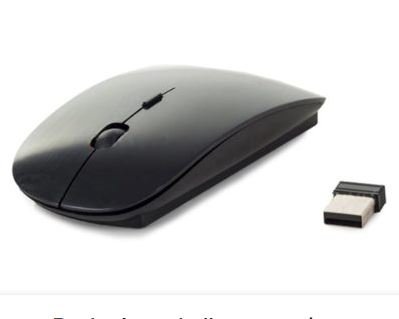 mysz